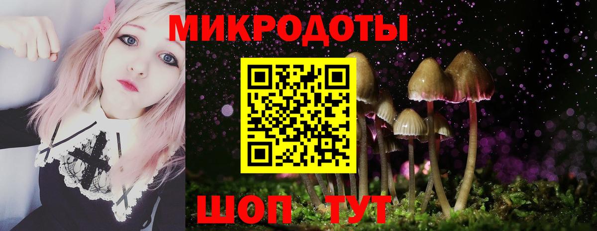 Псилоцибиновые грибы ЛСД  Псилоцибиновые грибы прущие грибы  Зима  Вход с VPN 