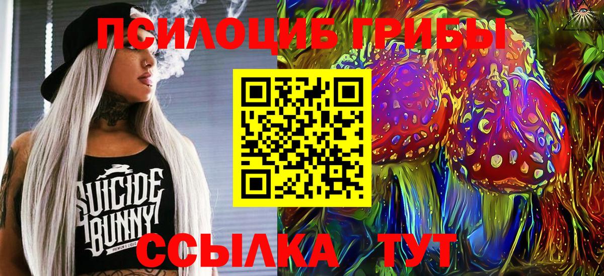 Псилоцибиновые грибы прущие грибы Зима